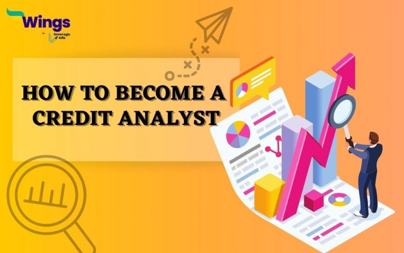 credit analyst