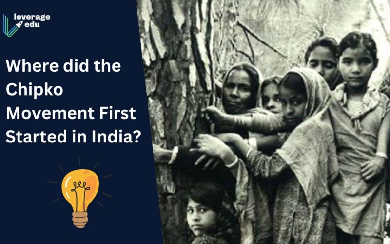 Chipko Movement First Started