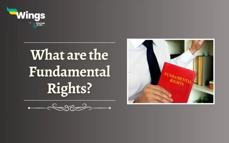 What are the Fundamental Rights