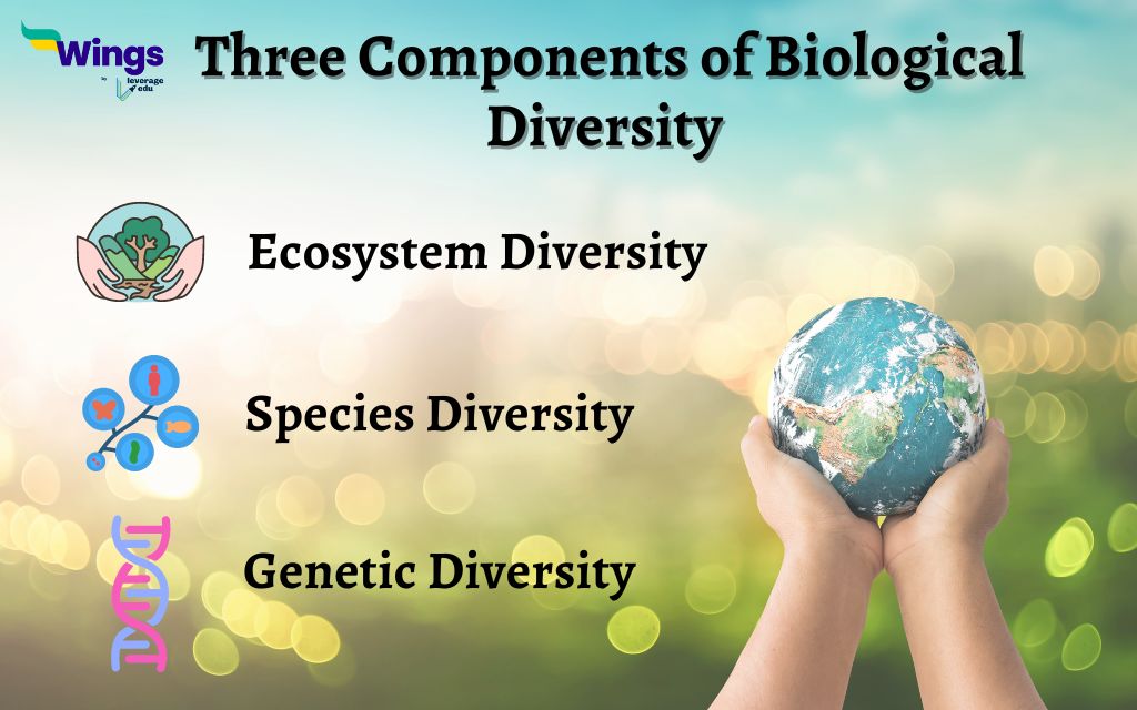 components of biological diversity