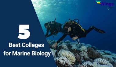 Best Colleges for Marine Biology