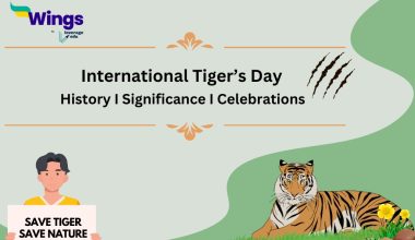 International Tiger’s Day