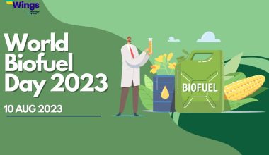 World biofuel Day