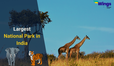 Which is the Largest National Park in India