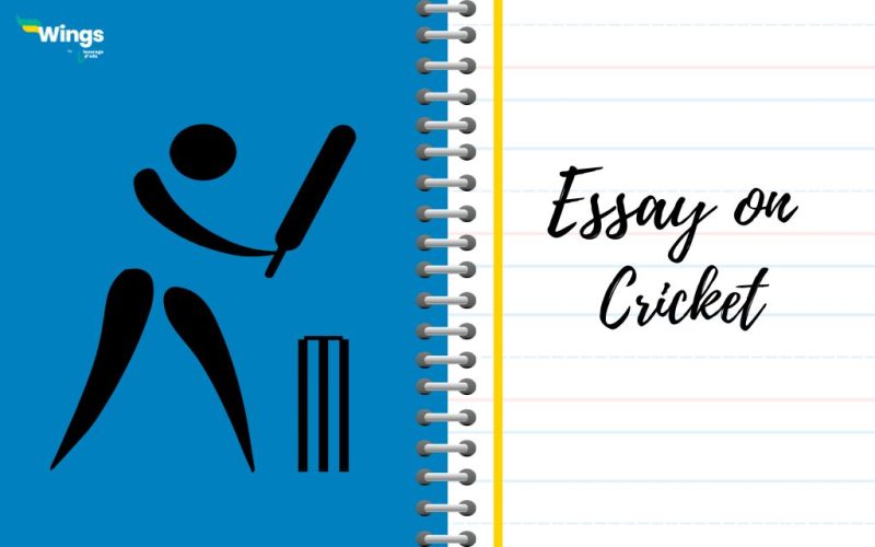 Essay on Cricket for Class 10: 250, 300 & 500 Words