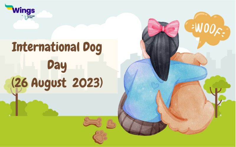 international dog day
