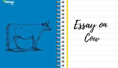 Essay on Cow for All Class: 100 to 500 Words 