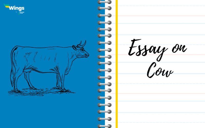 Essay on Cow for All Class: 100 to 500 Words 