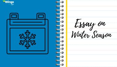 essay on winter season