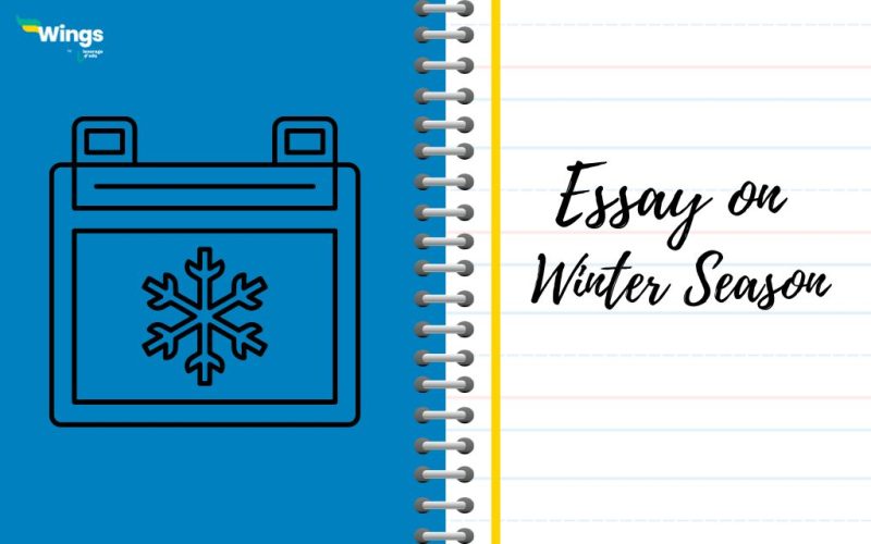 essay on winter season