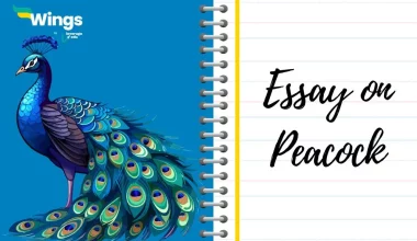 Essay-on-Peacock