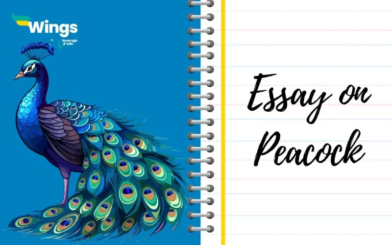 Essay-on-Peacock