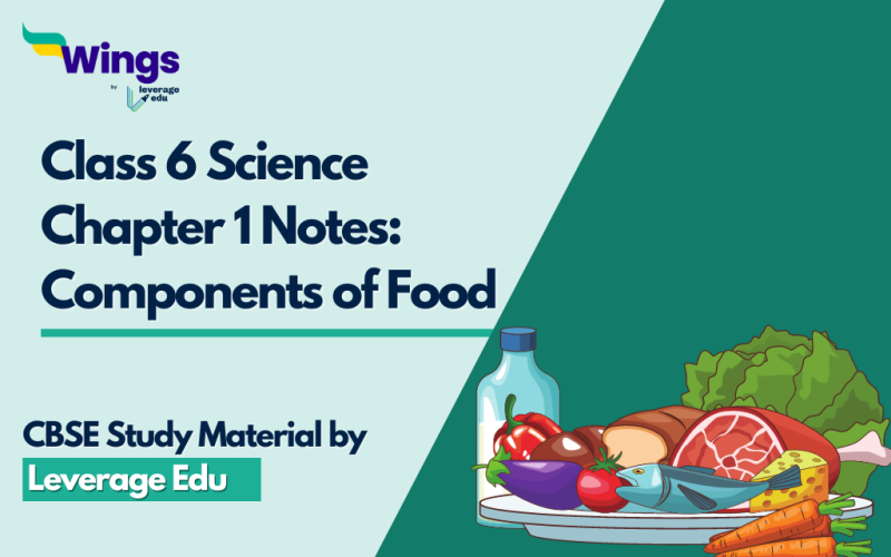 CBSE Notes Class 6 Science Chapter 1