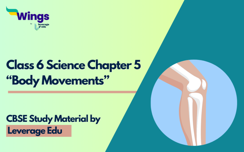 Class 6 Chapter 5 Science