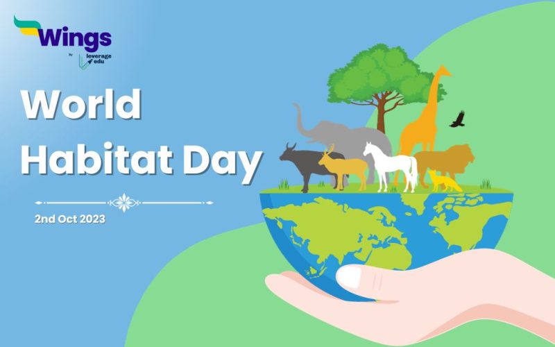 world habitat day