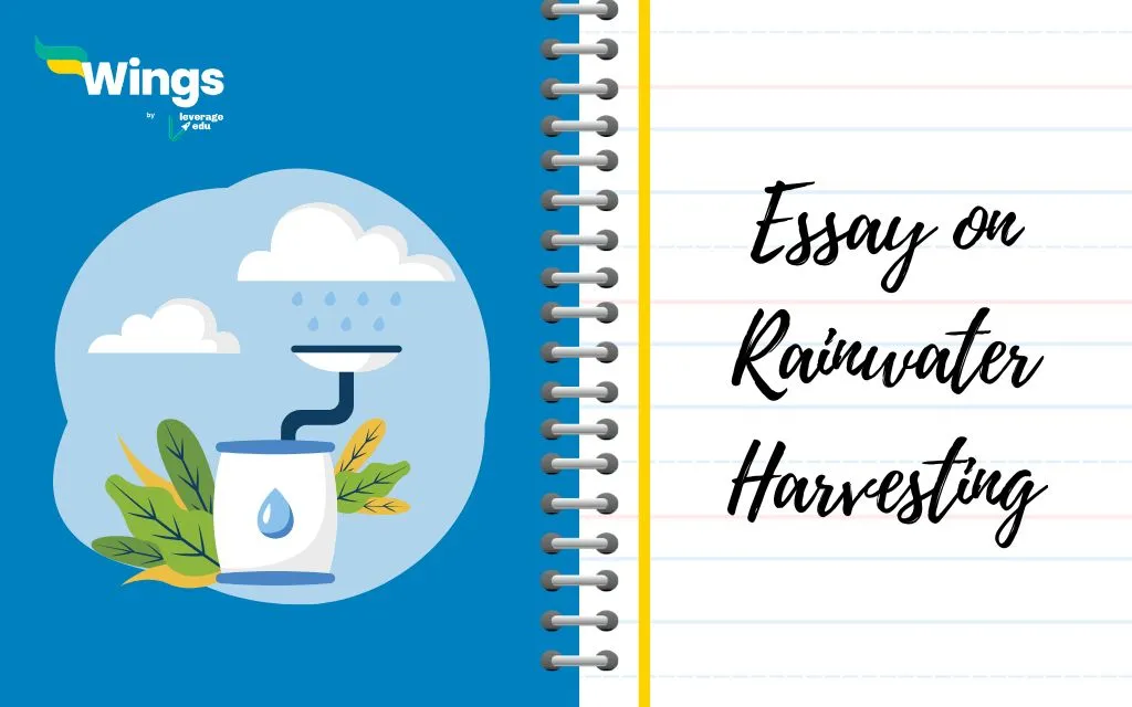 Essay-on-Rainwater-Harvesting-