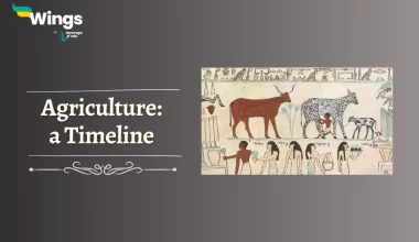 Timeline of Agriculture: When did Agriculture Begin