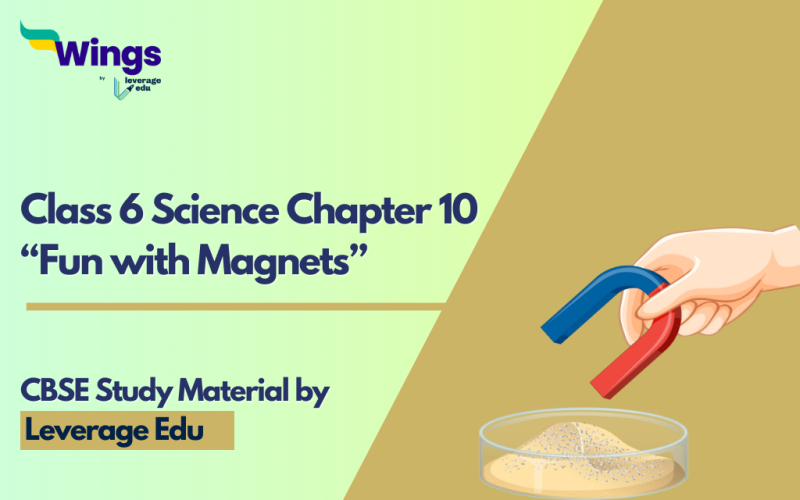 Class 6 Chapter 10 Science