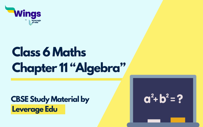 Class 6 Maths Chapter 11