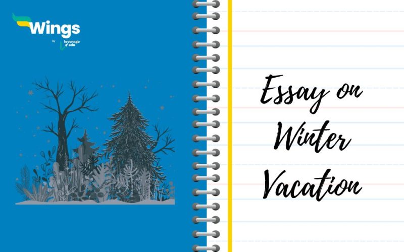 Essay on Winter Vacation