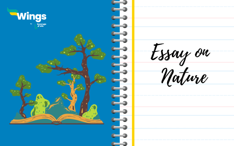 Essay on Nature