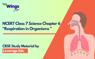NCERT Class 7 Science Chapter 6 Respiration in Organisms: Notes and ...