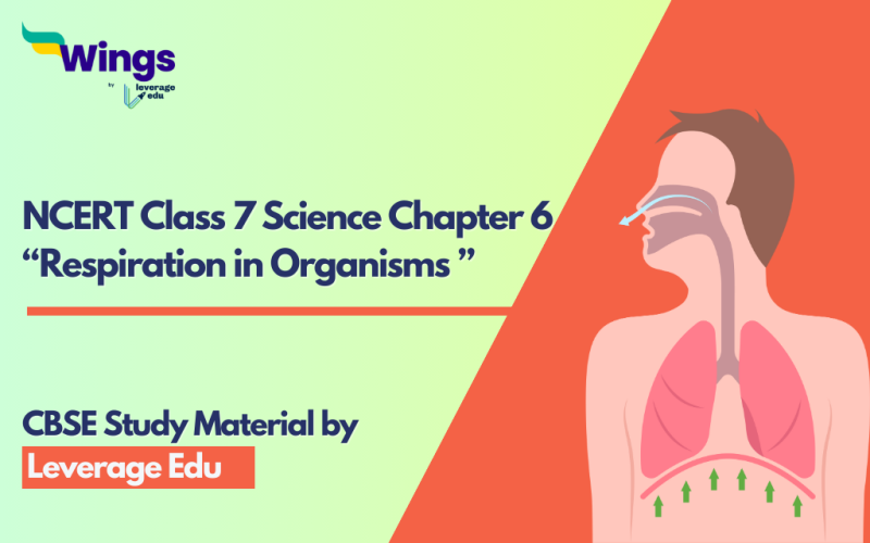 NCERT Class 7 Science Chapter 6 Respiration in Organisms