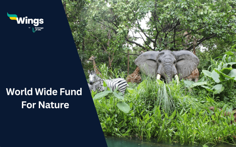 World Wide Fund for Nature