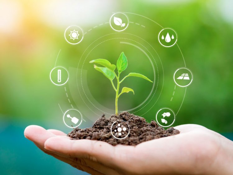 Sustainable Agriculture Practice