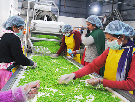Food Processing Industry