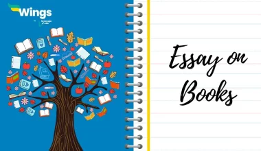 Essay-on-books