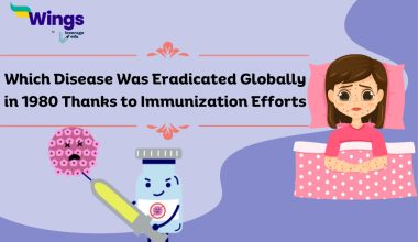 which disease was eradicated globally in 1980 thanks to immunization efforts