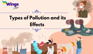 Types of Pollution