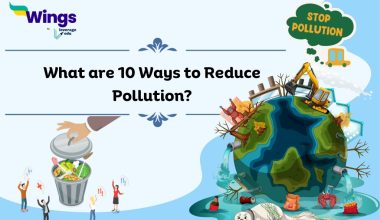 what are 10 ways to reduce pollution