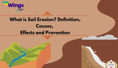 What is Soil Erosion Definition, Causes, Effects and Prevention