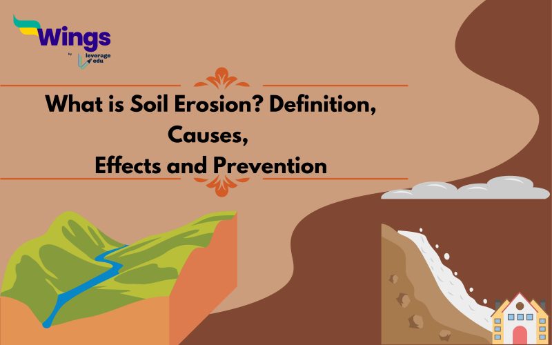 What is Soil Erosion Definition, Causes, Effects and Prevention