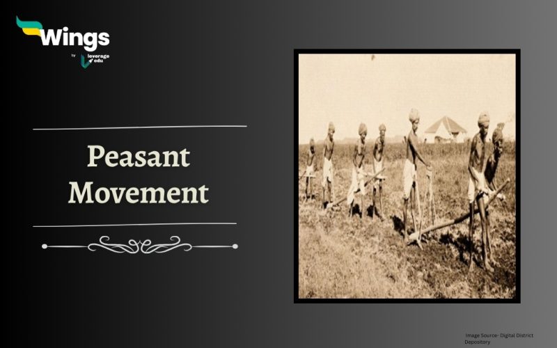 peasant movement