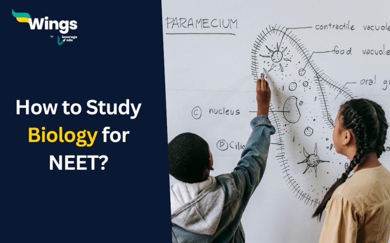 How to Study Biology for NEET