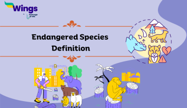 Endangered Species Definition