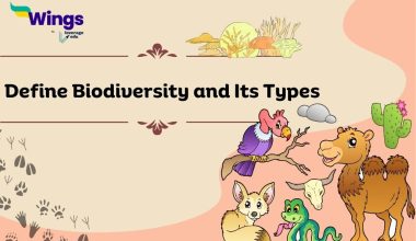 Define Biodiversity and Its Types