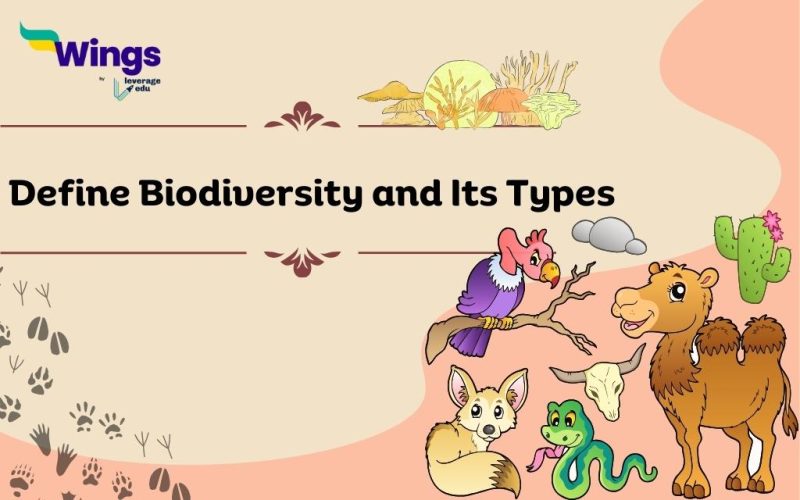 Define Biodiversity and Its Types