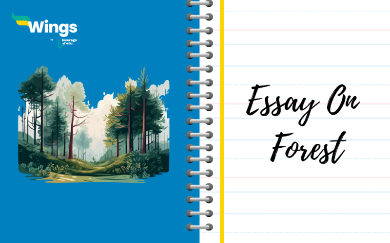 Essay on Forest