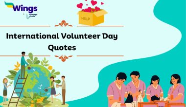 international volunteer day quotes
