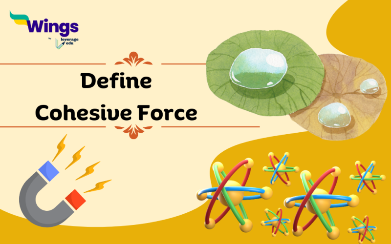 define cohesive force