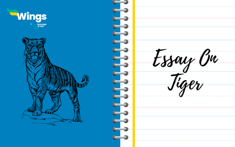 Essay On Tiger
