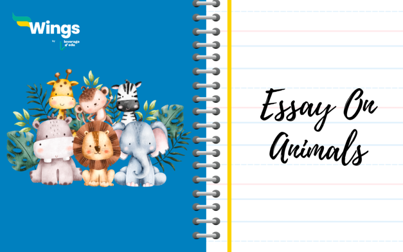 Essay On Animals