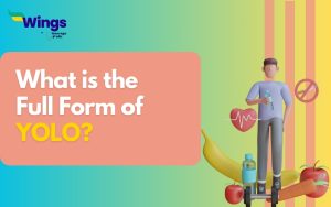 YOLO Full Form: Meaning, Example Sentences