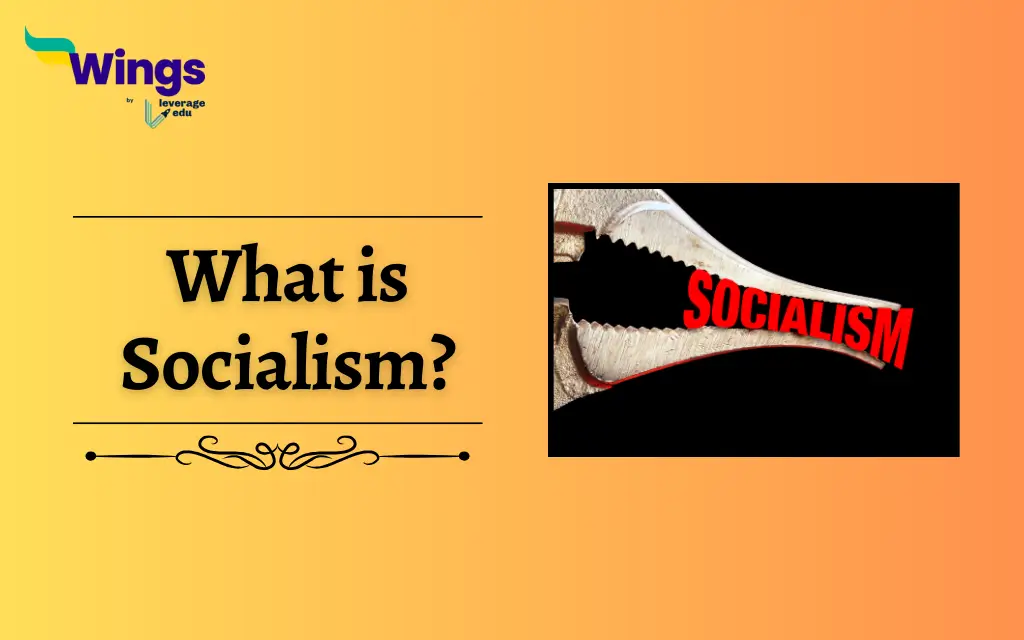 What is Socialism