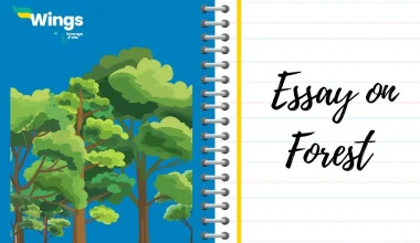 Essay-on-Forest-