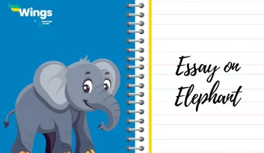 Essay-on-Elephant